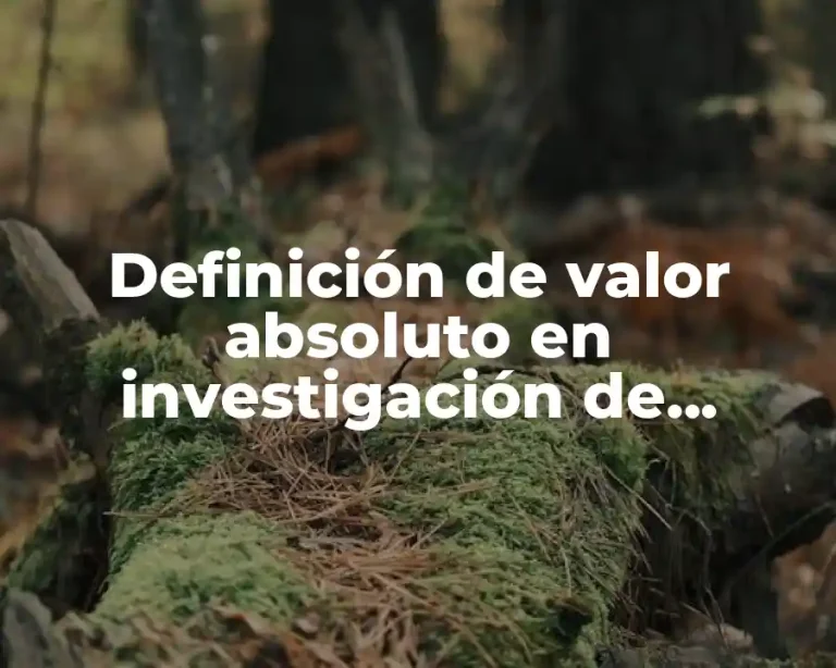 Definición de valor absoluto en investigación de operaciones