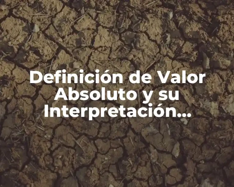 Definición de Valor Absoluto y su Interpretación Geométrica