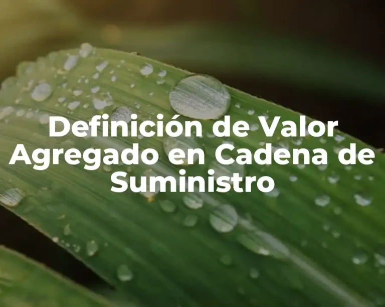 Definición de Valor Agregado en Cadena de Suministro