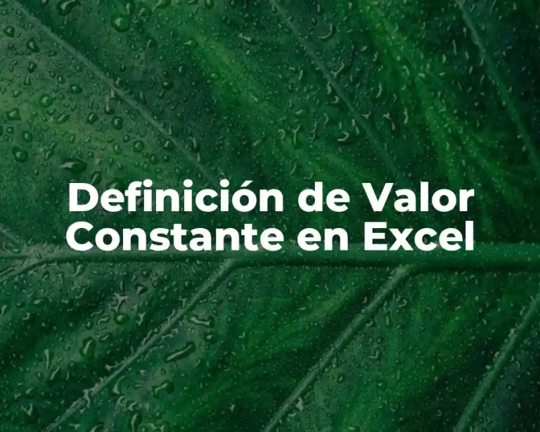 Definición de Valor Constante en Excel