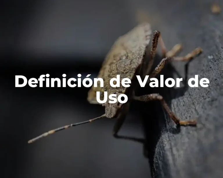 Definición de Valor de Uso