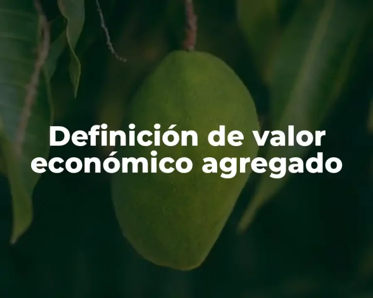 Definición de valor económico agregado