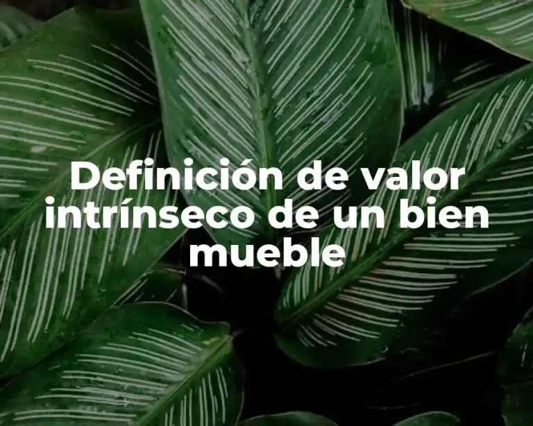 Definición de valor intrínseco de un bien mueble