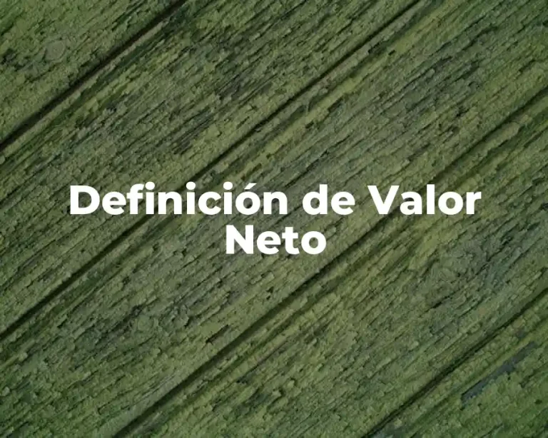 Definición de Valor Neto