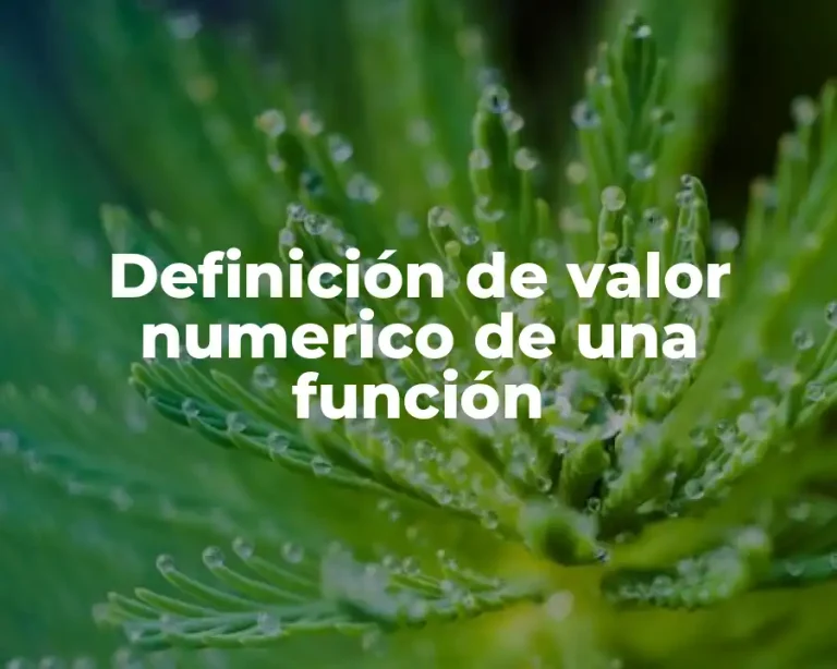 Definición de valor numerico de una función