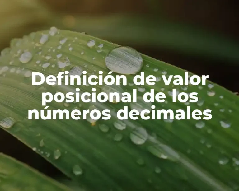 Definición de valor posicional de los números decimales