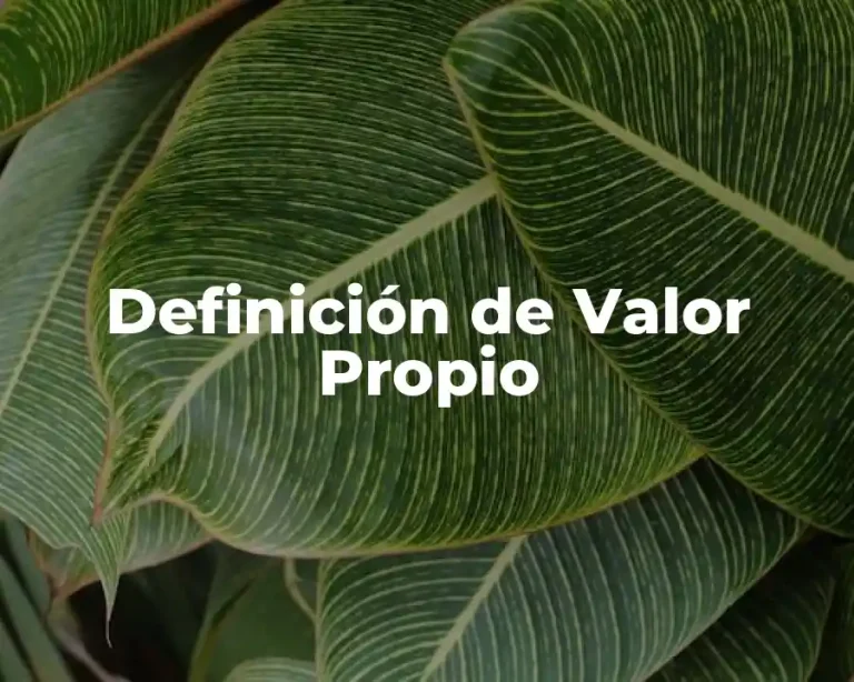Definición de Valor Propio