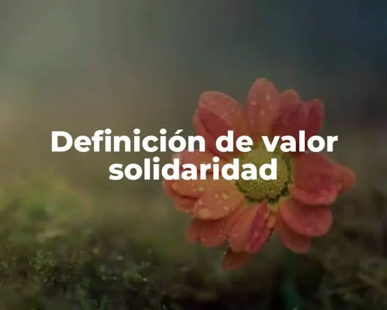 Definición de valor solidaridad