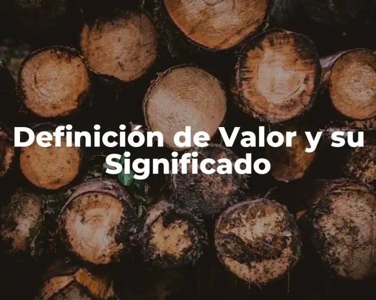 Definición de Valor y su Significado