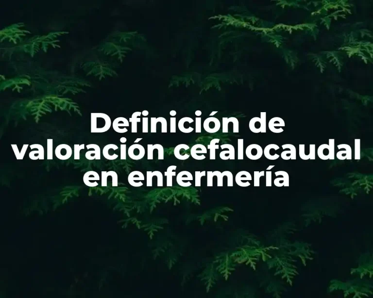 Definición de valoración cefalocaudal en enfermería