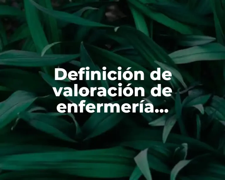 Definición de valoración de enfermería cefalocaudal
