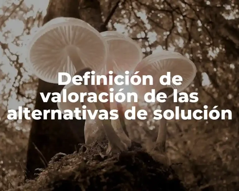 Definición de valoración de las alternativas de solución