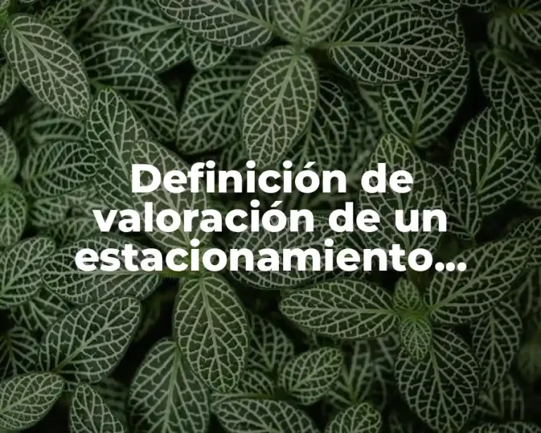 Definición de valoración de un estacionamiento subterráneo