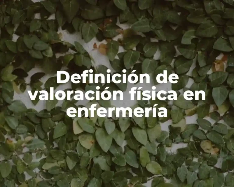 Definición de valoración física en enfermería
