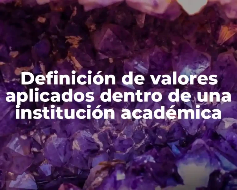 Definición de valores aplicados dentro de una institución académica