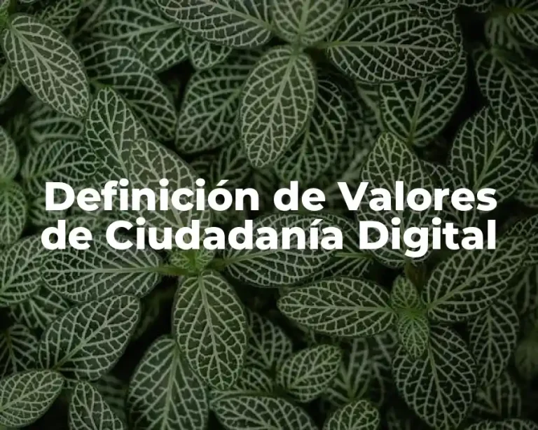 Definición de Valores de Ciudadanía Digital