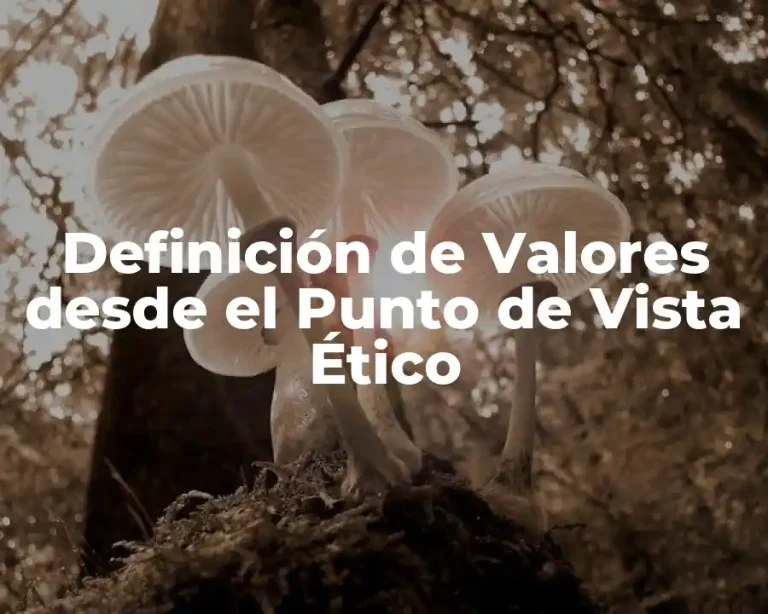 Definición de Valores desde el Punto de Vista Ético