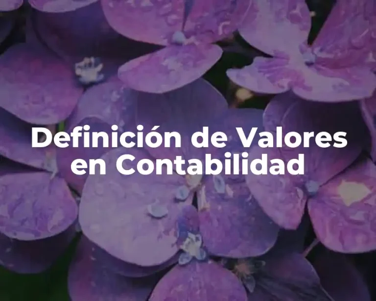 Definición de Valores en Contabilidad