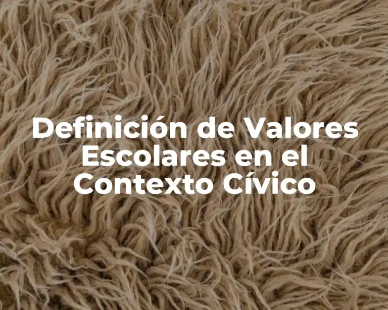 Definición de Valores Escolares en el Contexto Cívico