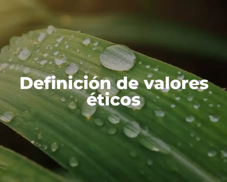Definición de valores éticos