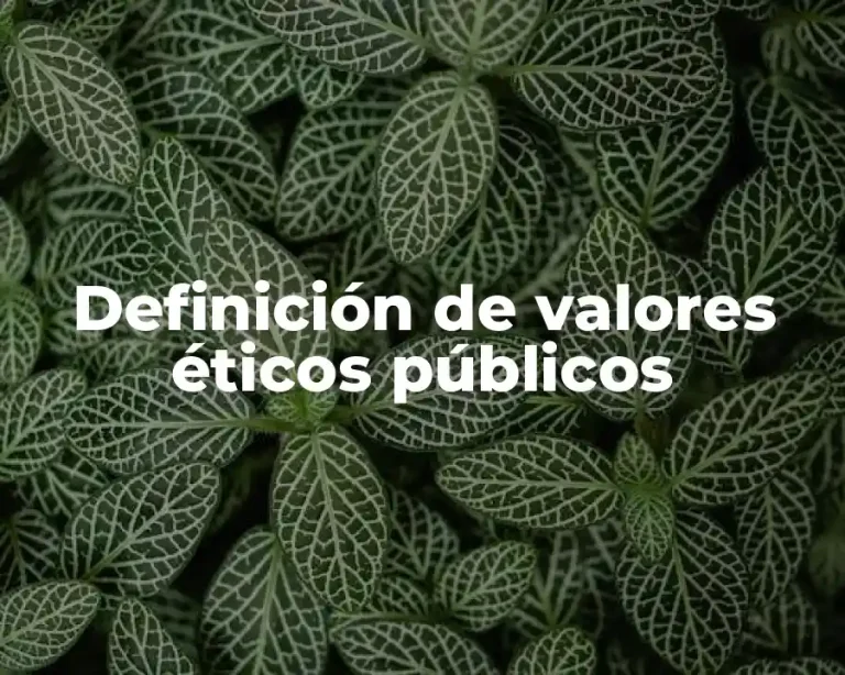 Definición de valores éticos públicos