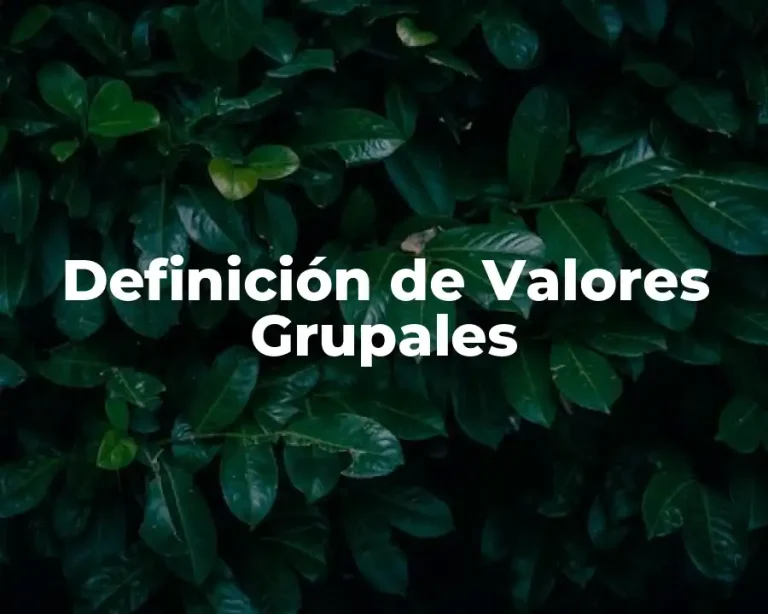 Definición de Valores Grupales
