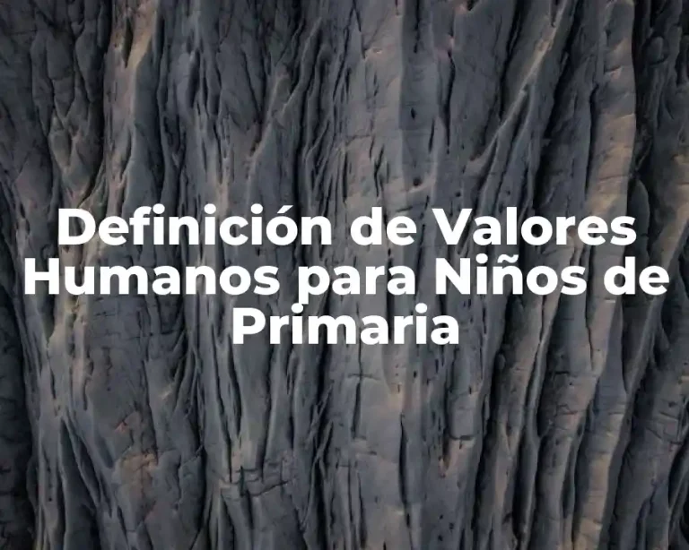 Definición de Valores Humanos para Niños de Primaria