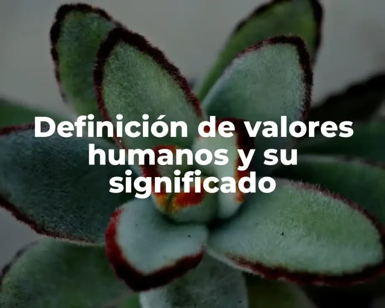 Definición de valores humanos y su significado