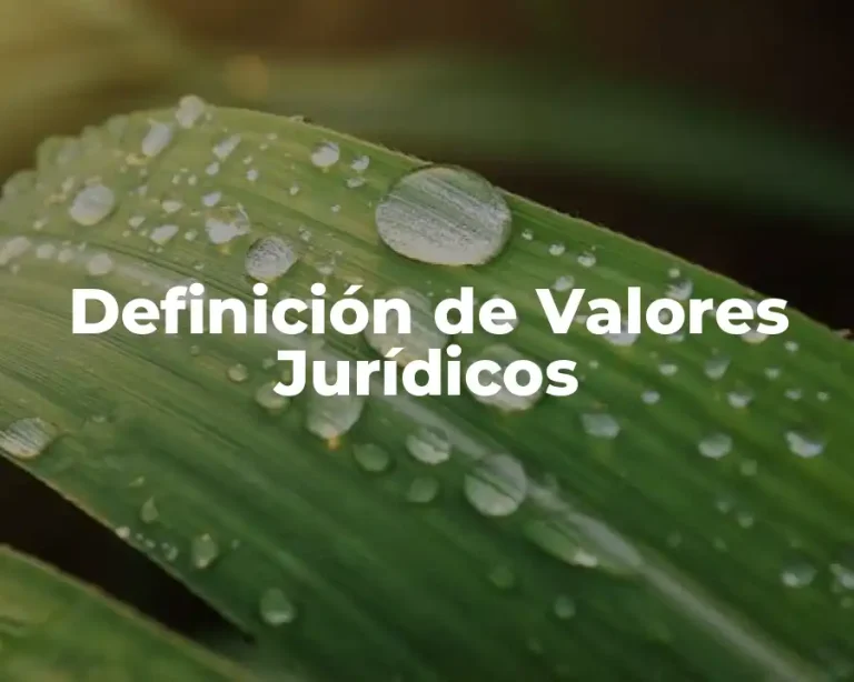 Definición de Valores Jurídicos