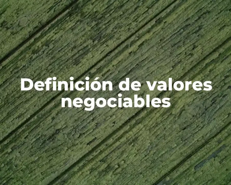 Definición de valores negociables