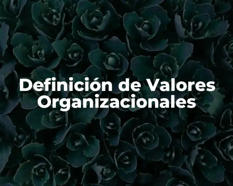 Definición de Valores Organizacionales