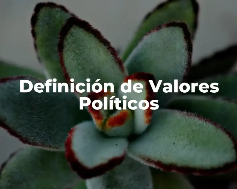 Definición de Valores Políticos