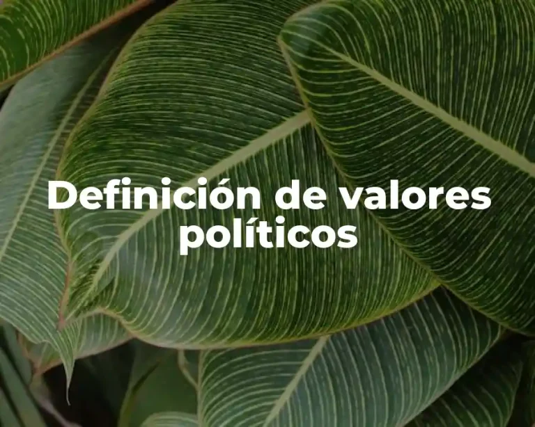 Definición de valores políticos