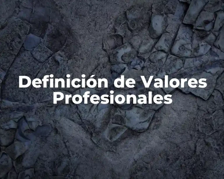Definición de Valores Profesionales