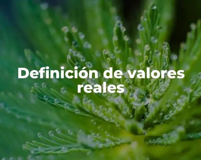 Definición de valores reales