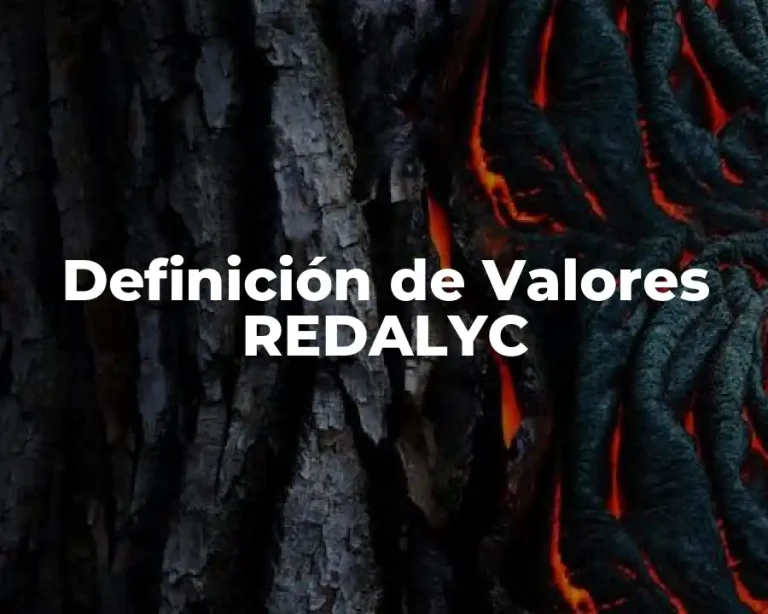 Definición de Valores REDALYC