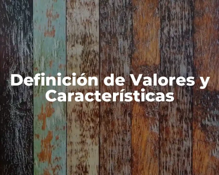 Definición de Valores y Características