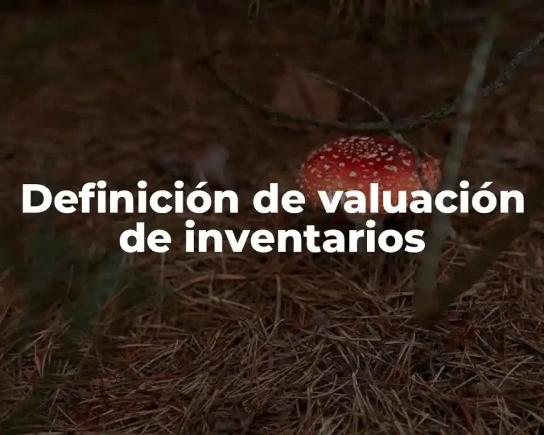 Definición de valuación de inventarios