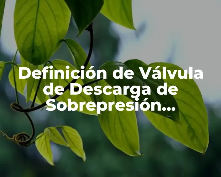 Definición de Válvula de Descarga de Sobrepresión Ventilador del Refrigerante