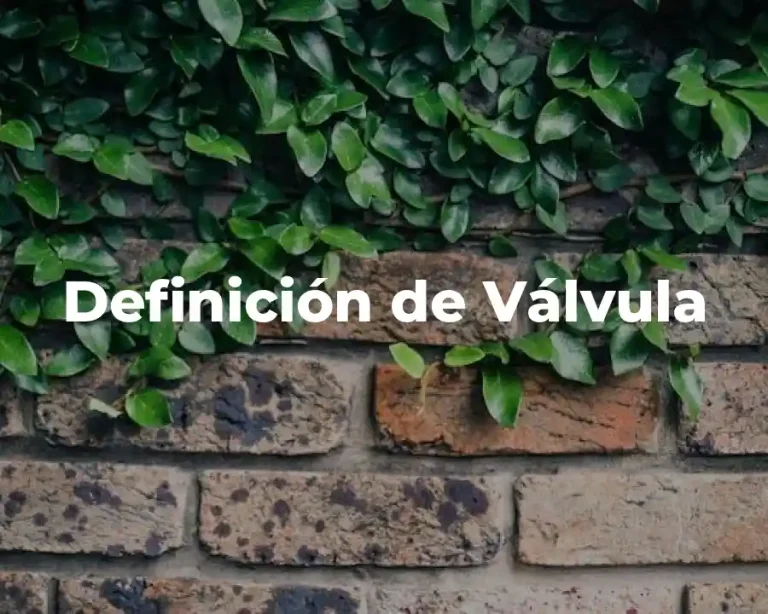 Definición de Válvula