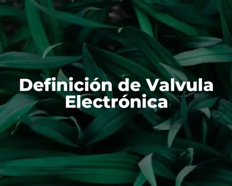 Definición de Valvula Electrónica