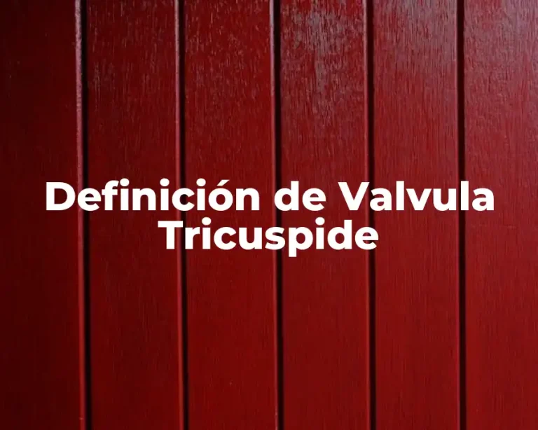 Definición de Valvula Tricuspide