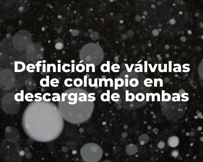 Definición de válvulas de columpio en descargas de bombas