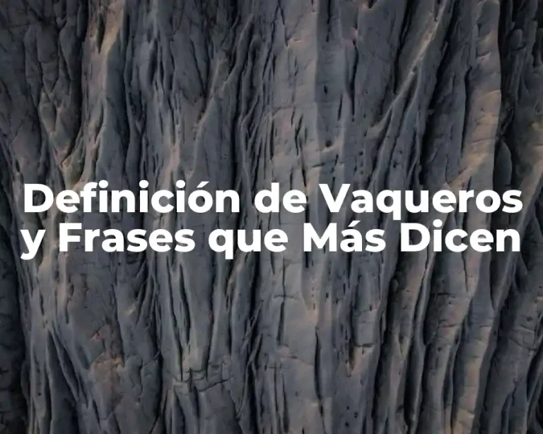 Definición de Vaqueros y Frases que Más Dicen