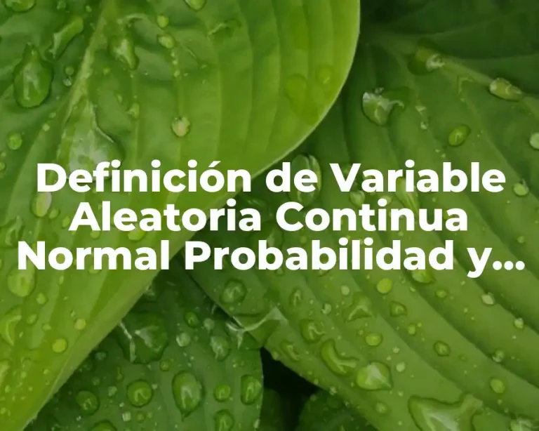 Definición de Variable Aleatoria Continua Normal Probabilidad y Estadística