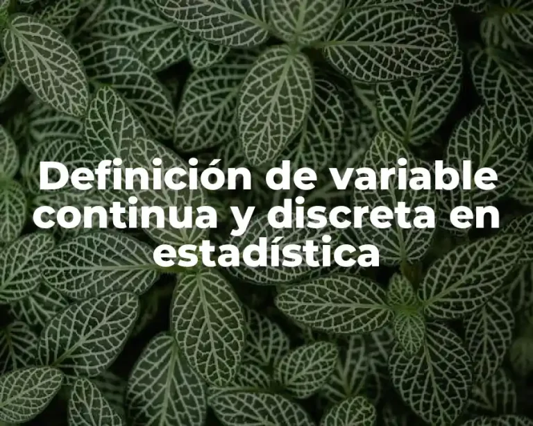 Definición de variable continua y discreta en estadística