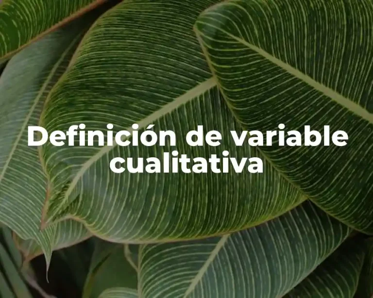 Definición de variable cualitativa