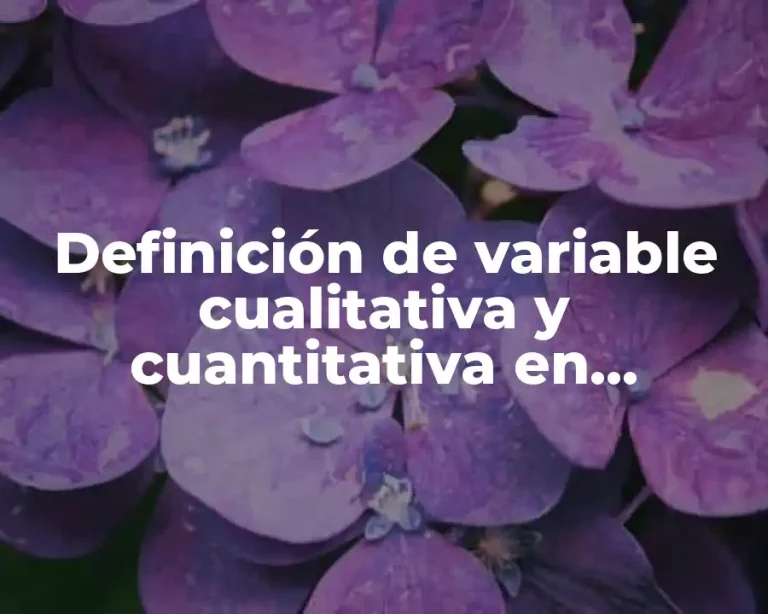 Definición de variable cualitativa y cuantitativa en estadística