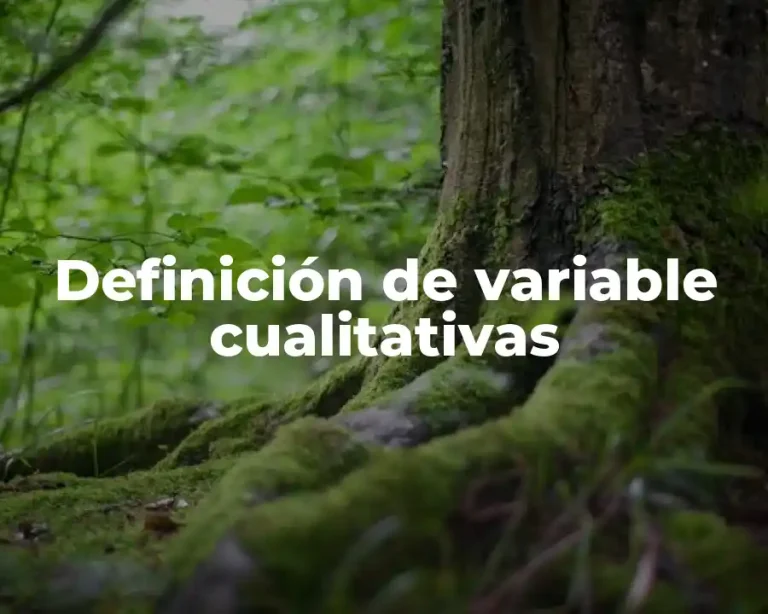 Definición de variable cualitativas