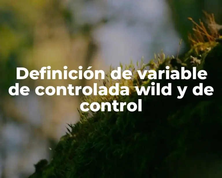 Definición de variable de controlada wild y de control